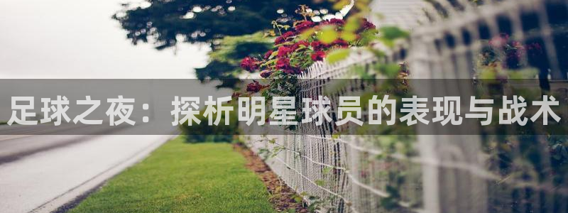 足球之夜：探析明星球员的表现与战术
