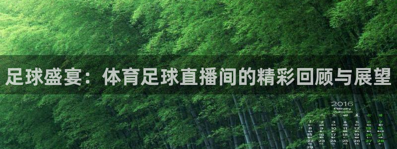 足球盛宴：体育足球直播间的精彩回顾与展望