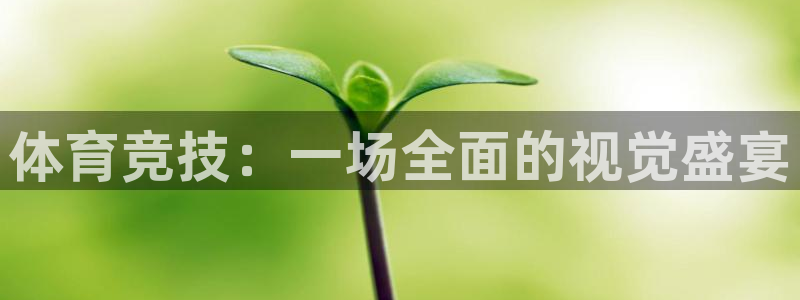体育竞技：一场全面的视觉盛宴