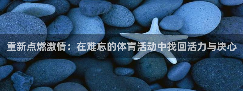 重新点燃激情：在难忘的体育活动中找回活力与决心