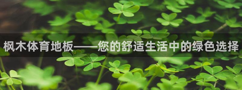 枫木体育地板——您的舒适生活中的绿色选择