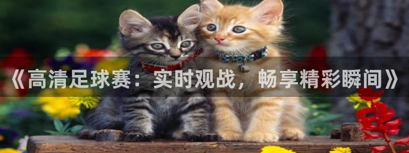 《高清足球赛：实时观战，畅享精彩瞬间》