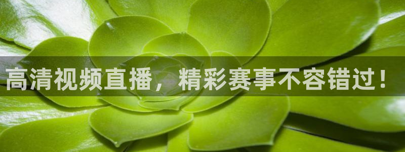 高清视频直播，精彩赛事不容错过！
