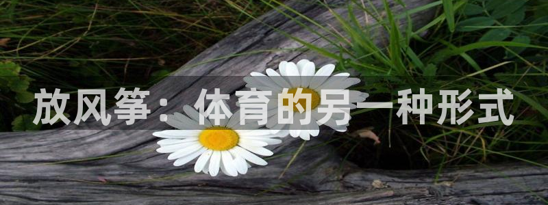 极速体育q