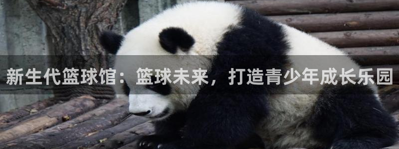 快手极速体育