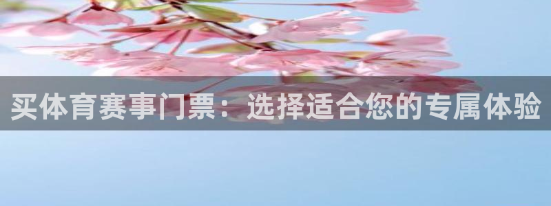 极速体育视频在线直播