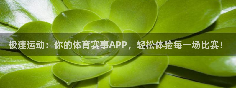 极速体育直播体育jrs：极速运动：你的体育赛事APP，轻松体验每一场比赛！