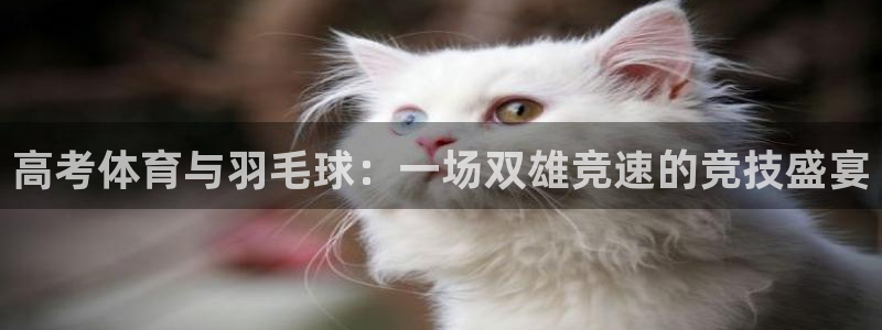 极极速体育：高考体育与羽毛球：一场双雄竞速的竞技盛宴