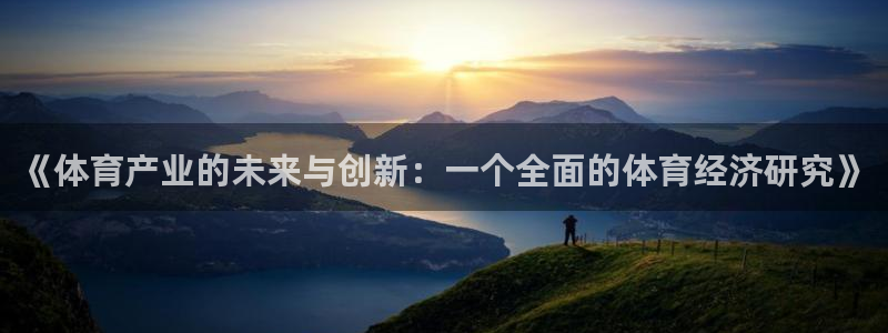nba极速体育直播：《体育产业的未来与创新：一个全面的体育经济研究》