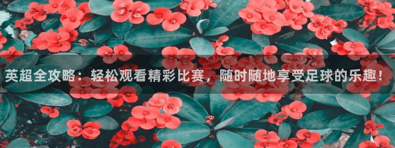 nba极速体育：英超全攻略：轻松观看精彩比赛，随时随地享受足球的乐趣！