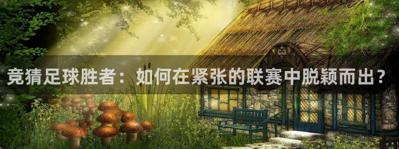 英超直播吧 极速体育
