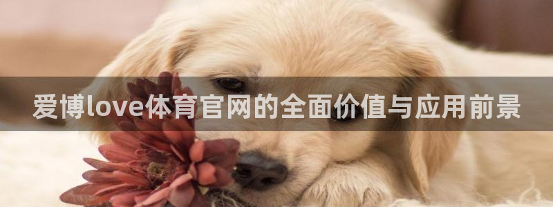 体育吧极速体育直播在线观看：爱博love体育官网的全面价值与应用前景