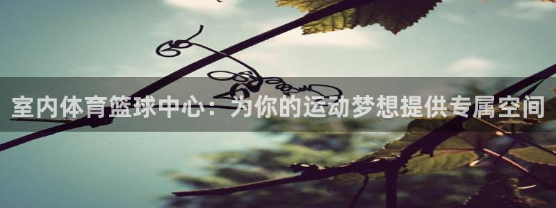 极速免费体育直播：室内体育篮球中心：为你的运动梦想提供专属空间